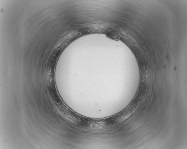 X0000057090599200510071913