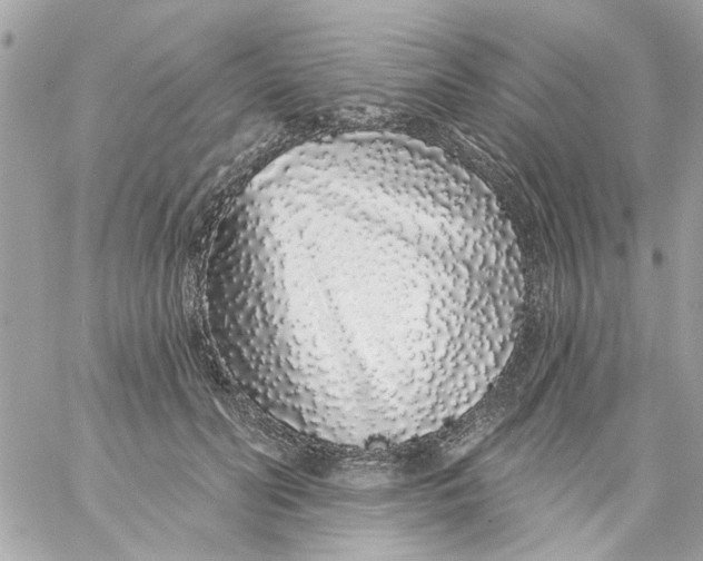 X0000057090606200510071913