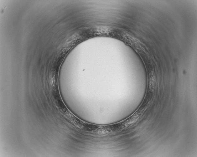 X0000057090608200510071913