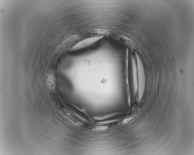 X0000057090609200510071913