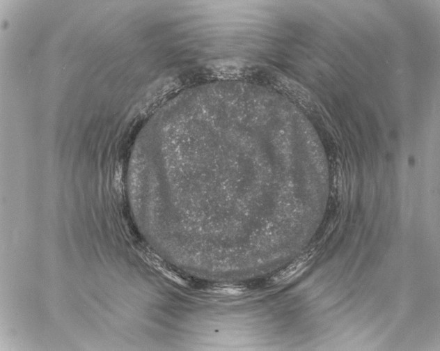 X0000057090610200510071913