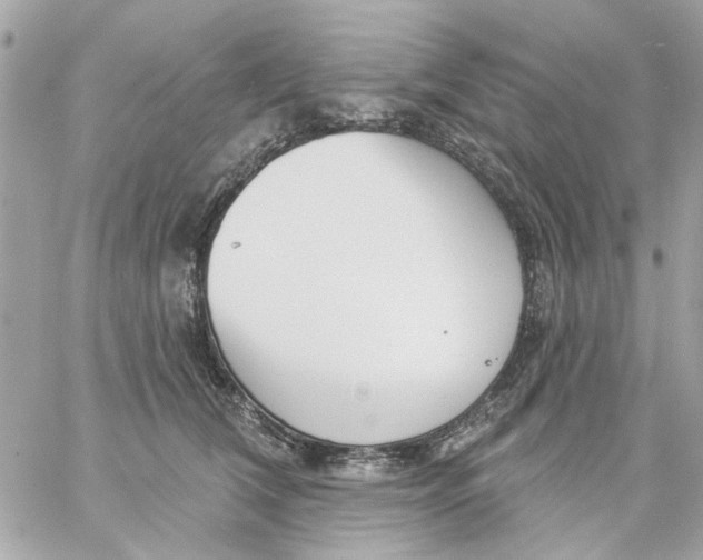 X0000057090612200510071913