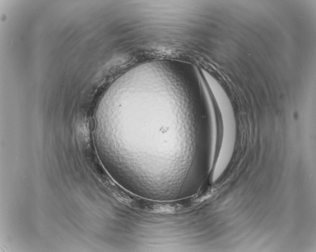 X0000057090613200510071913