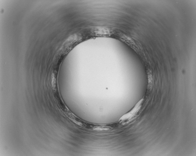 X0000057090614200510071913