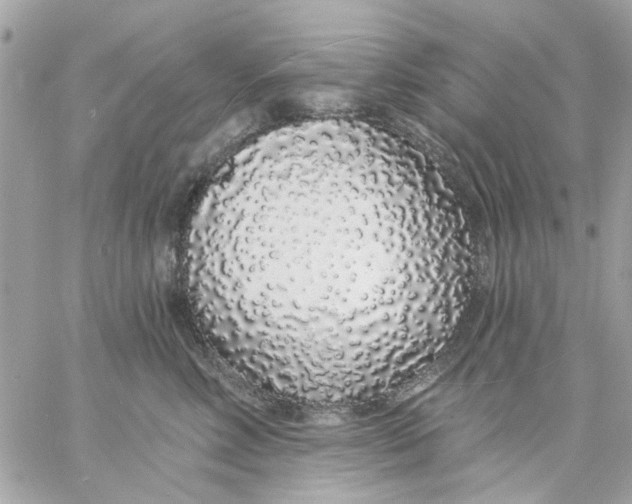 X0000057090618200510071913