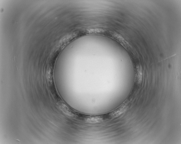 X0000057090619200510071913