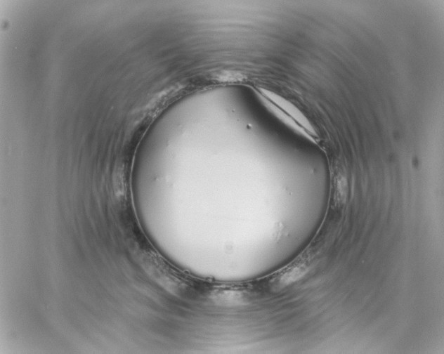 X0000057090620200510071913