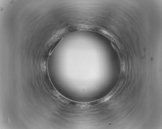 X0000057090621200510071913