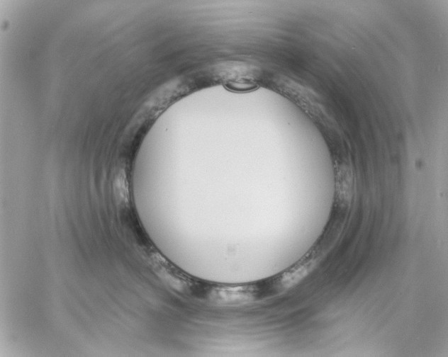 X0000057090622200510071913