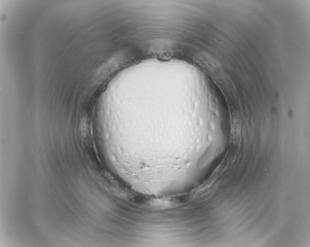 X0000057090623200510071913