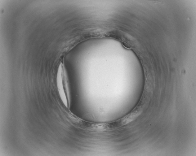 X0000057090624200510071913