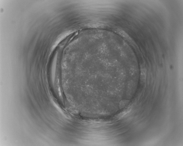 X0000057090626200510071912