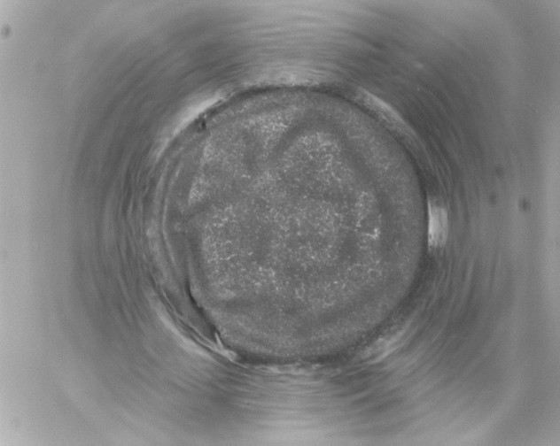 X0000057090627200510071912