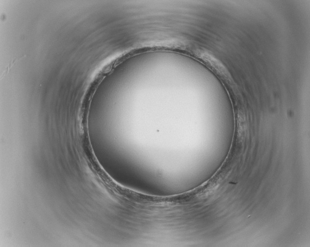 X0000057090628200510071912