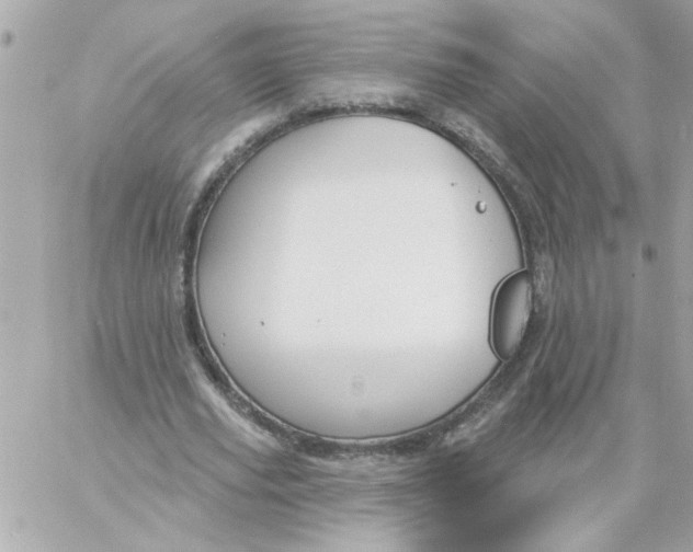 X0000057090629200510071912