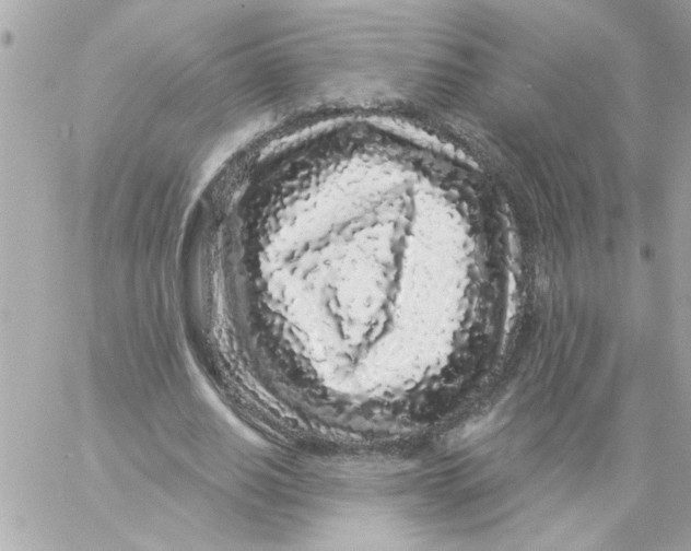 X0000057090630200510071912