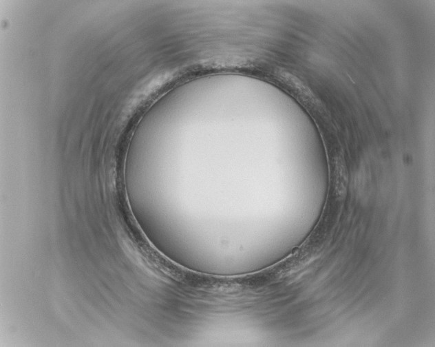 X0000057090631200510071912