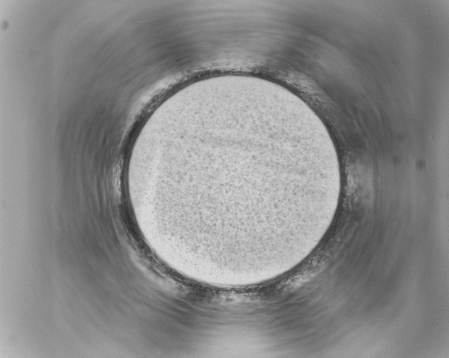 X0000057090632200510071912