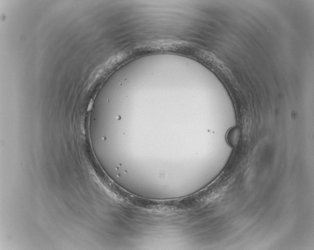 X0000057090633200510071912