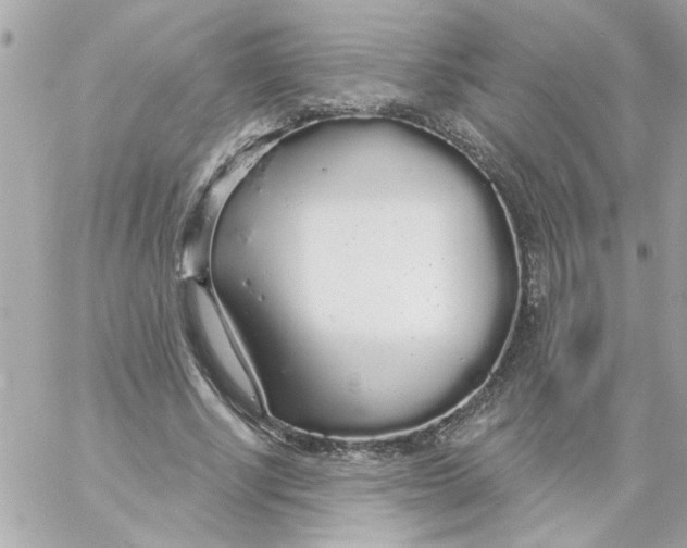 X0000057090634200510071912