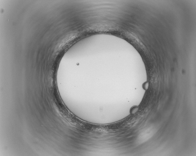 X0000057090635200510071912