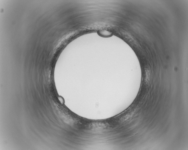 X0000057090636200510071912