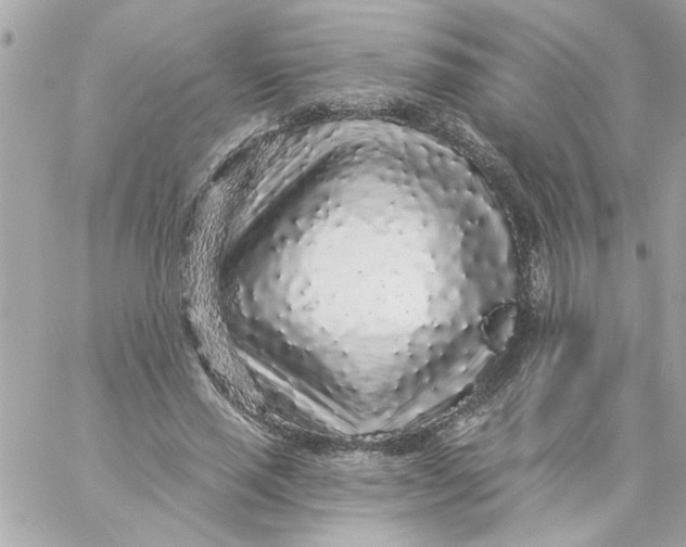 X0000057090637200510071912