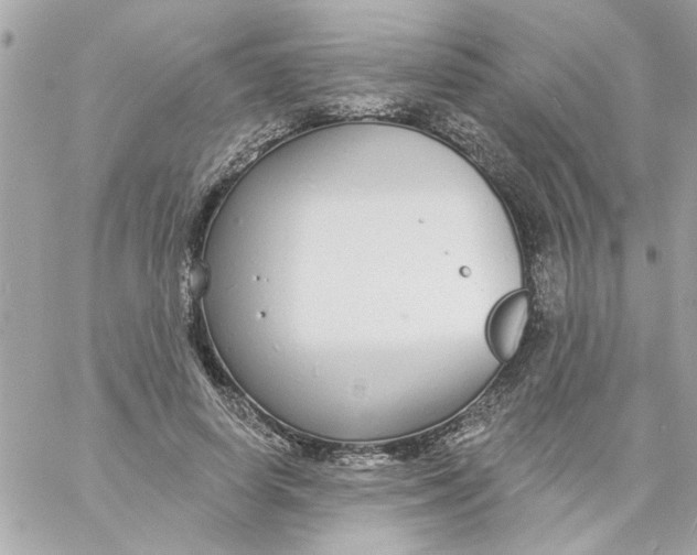 X0000057090642200510071912