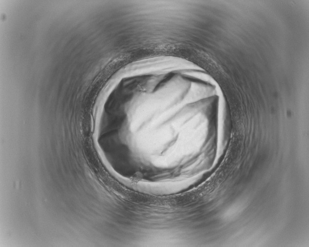 X0000057090643200510071912