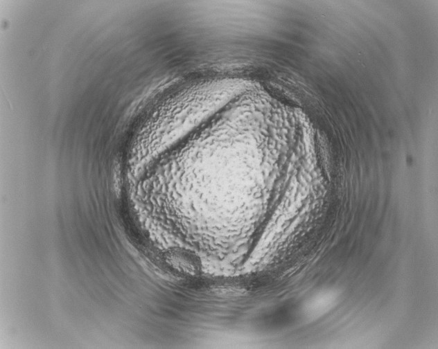 X0000057090644200510071912