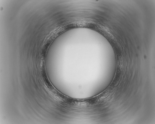 X0000057090645200510071912