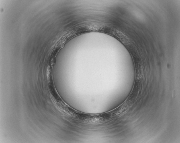 X0000057090646200510071912