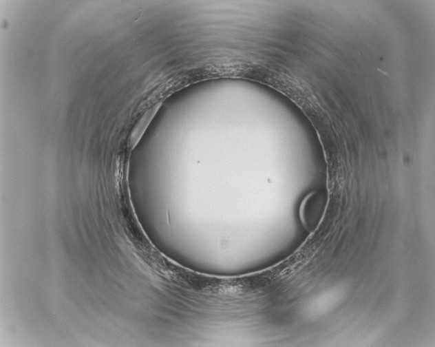 X0000057090647200510071912