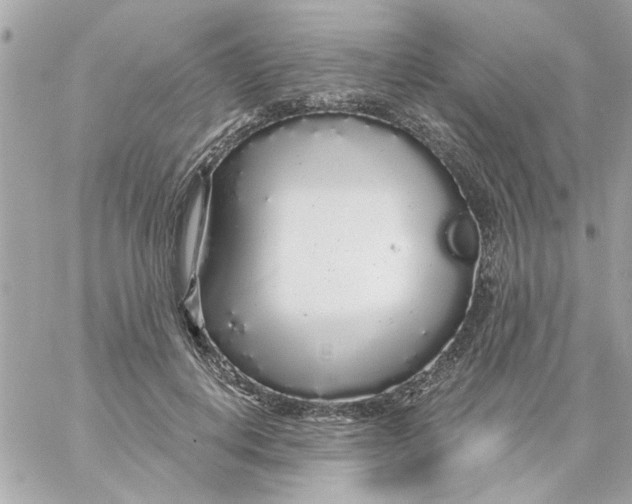 X0000057090648200510071912