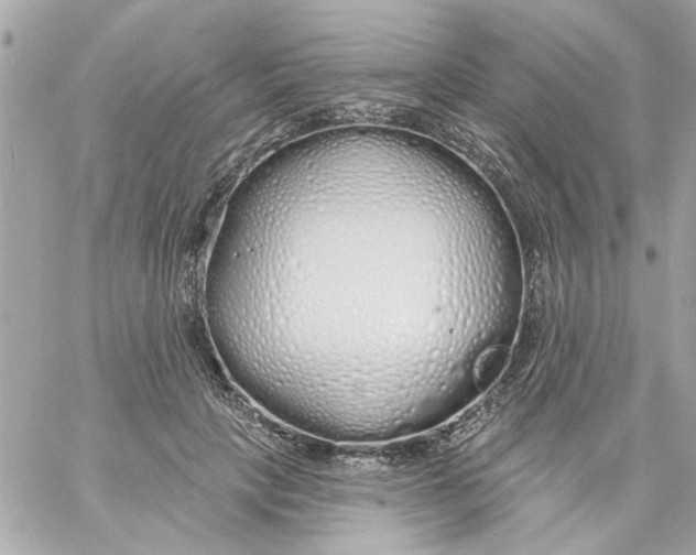 X0000057090649200510071912