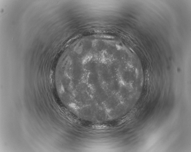 X0000057090650200510071912