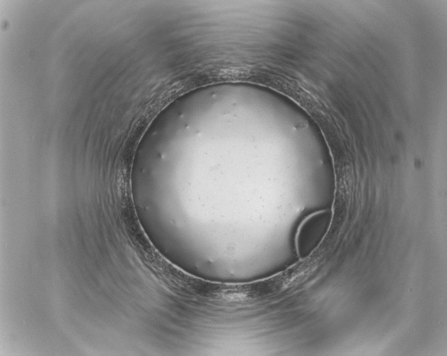 X0000057090651200510071912