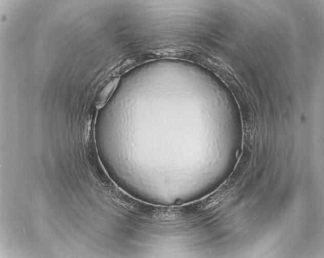 X0000057090652200510071912