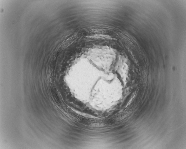 X0000057090653200510071912