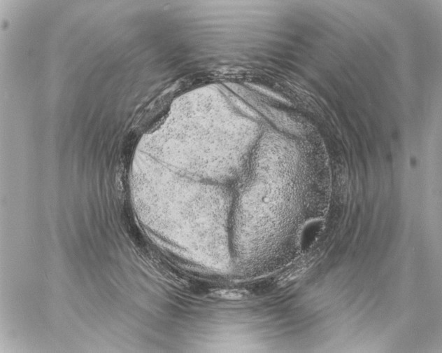 X0000057090654200510071912