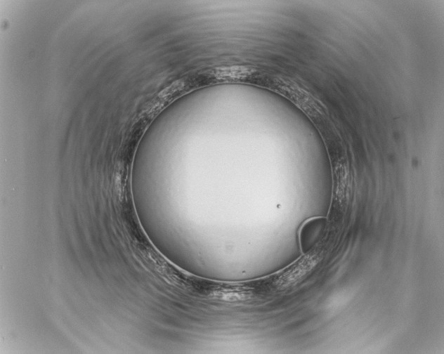 X0000057090655200510071912