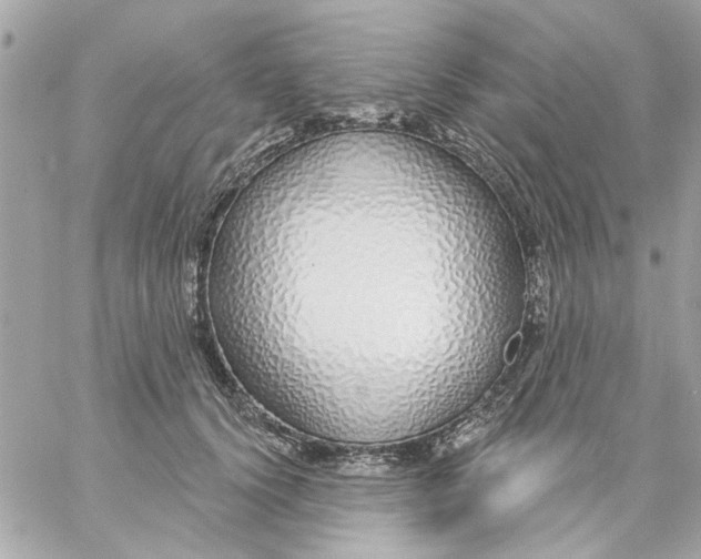 X0000057090656200510071912