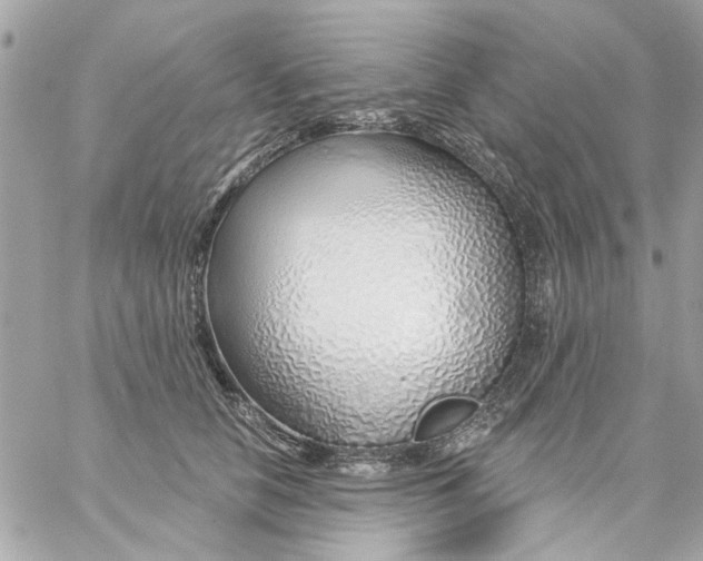 X0000057090658200510071912