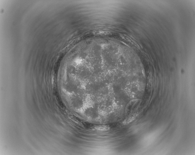 X0000057090659200510071912