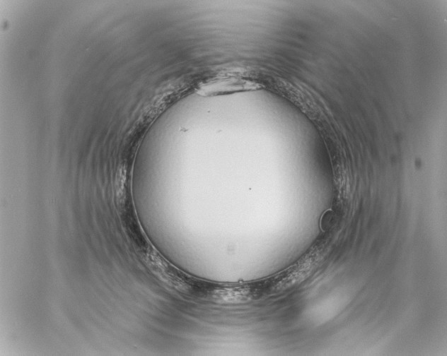 X0000057090660200510071912