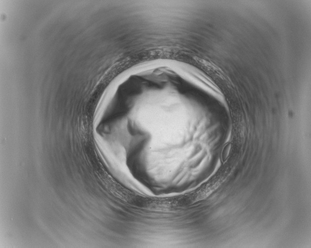 X0000057090661200510071912