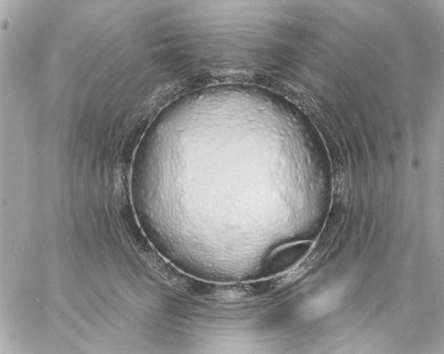 X0000057090662200510071912