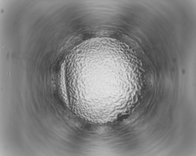 X0000057090663200510071912