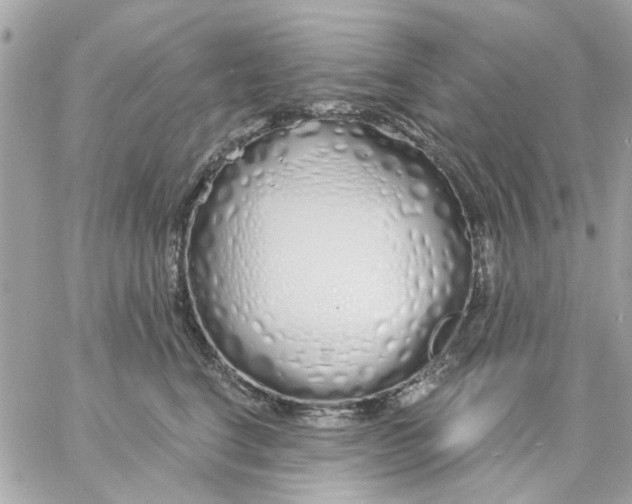 X0000057090664200510071912