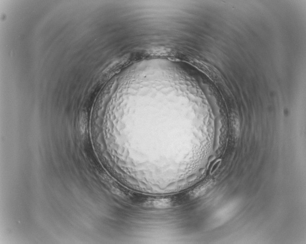 X0000057090665200510071912